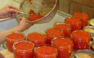 Как очистить икру от пленки у горбуши, форели или другой рыбы, как снять различными способами