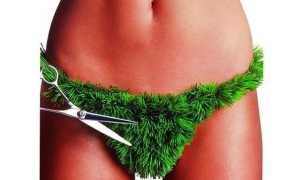 Зачем женщины бреют интимные места? Ответы и мнения